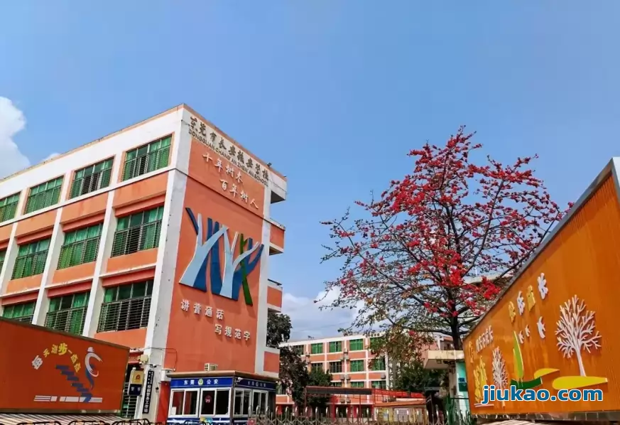 东莞市长安振安学校