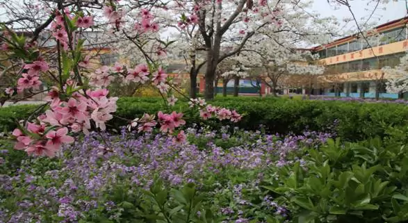 高邑县艺鸣学校