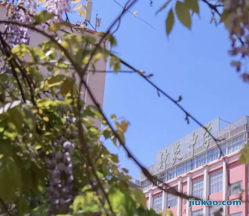 昆明市官渡区钟英学校校园环境图片3