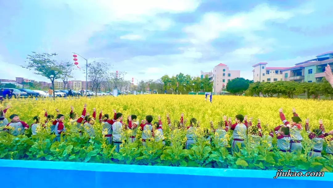 东莞市石碣莞华小学3