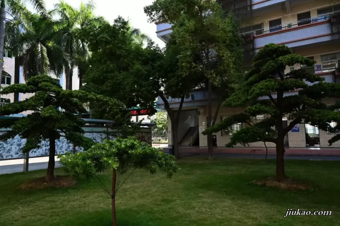 东莞市石碣碣识学校