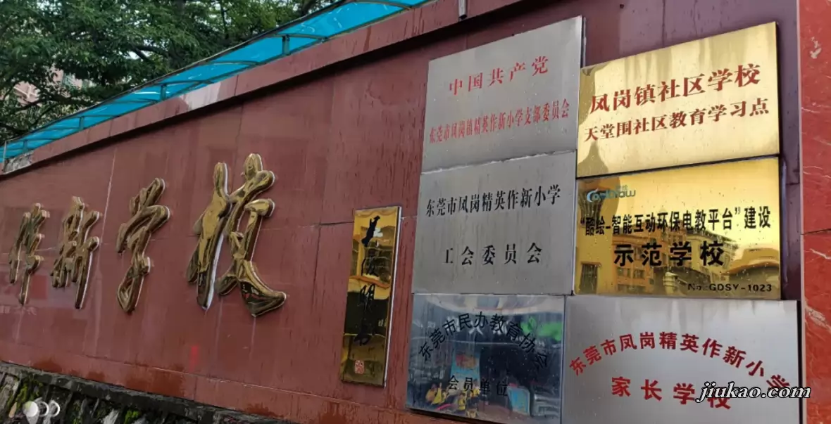 东莞市凤岗精英作新小学