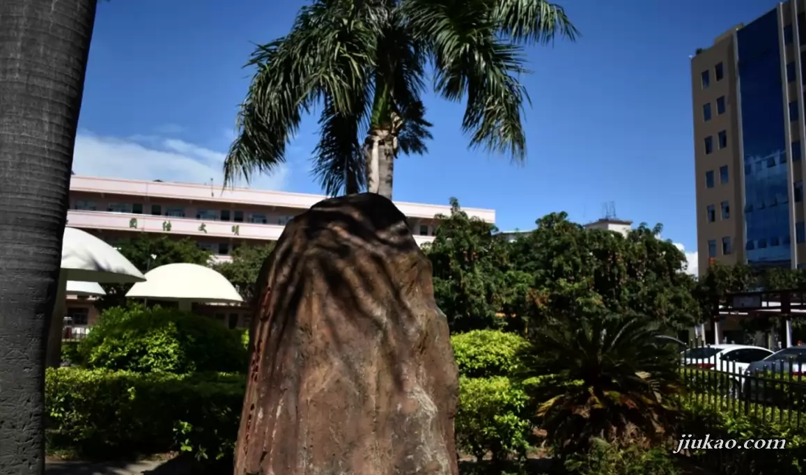 东莞市大朗东明学校4