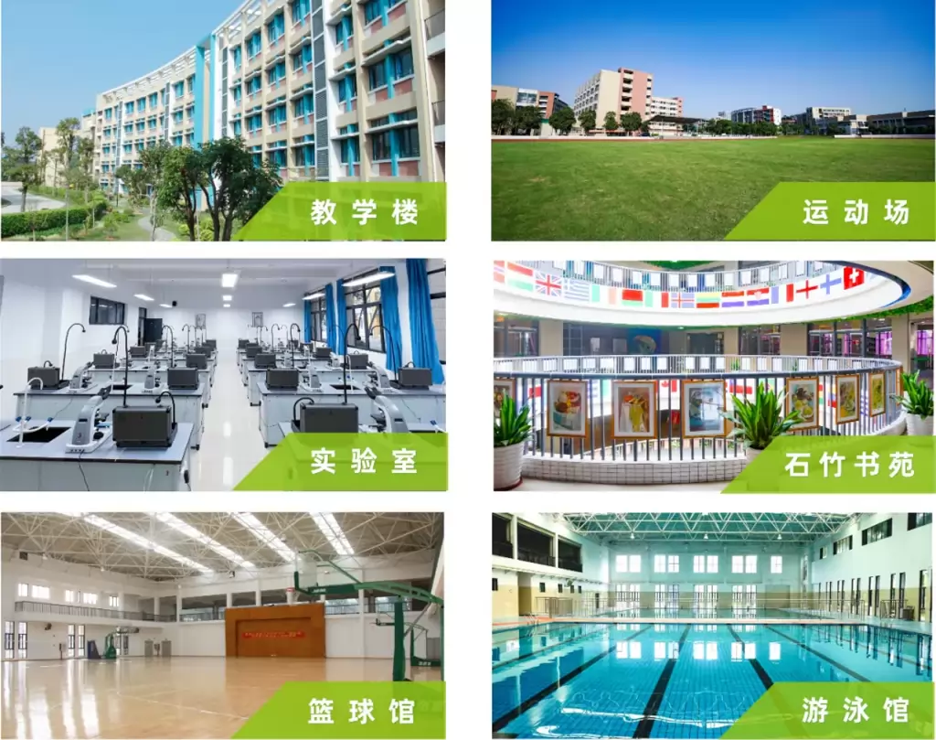 东莞市石竹实验学校