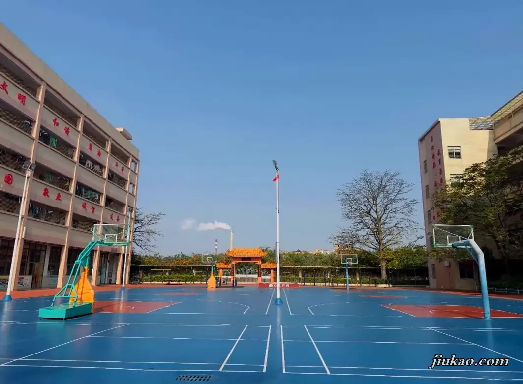 东莞市望牛墩多维学校3