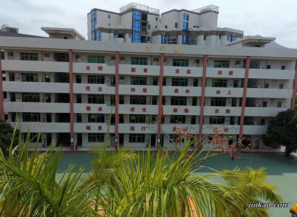 东莞市大岭山嘉福小学4