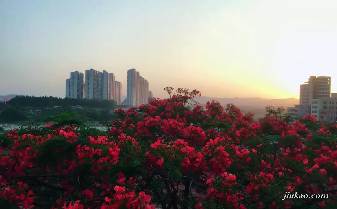 东莞市塘厦恒星小学3