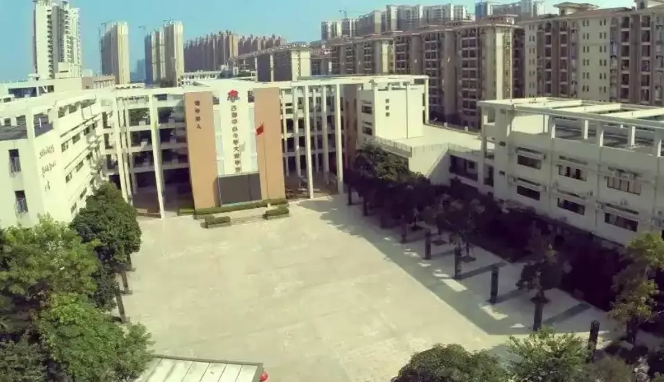 中山市大信学校