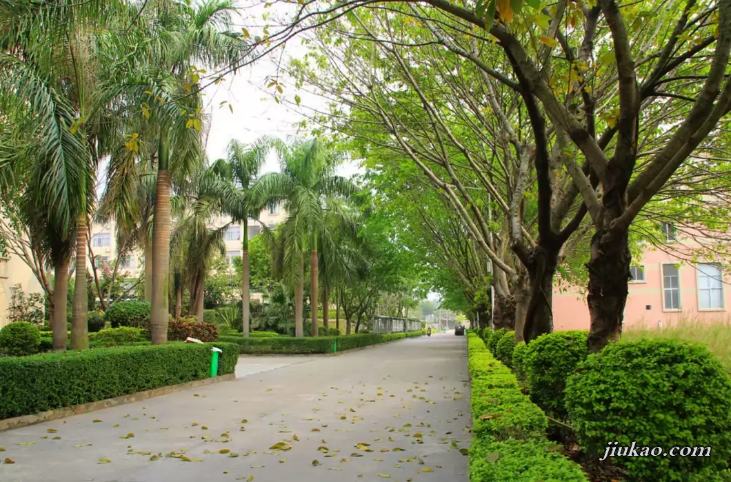 揭阳市揭东区光正实验学校5