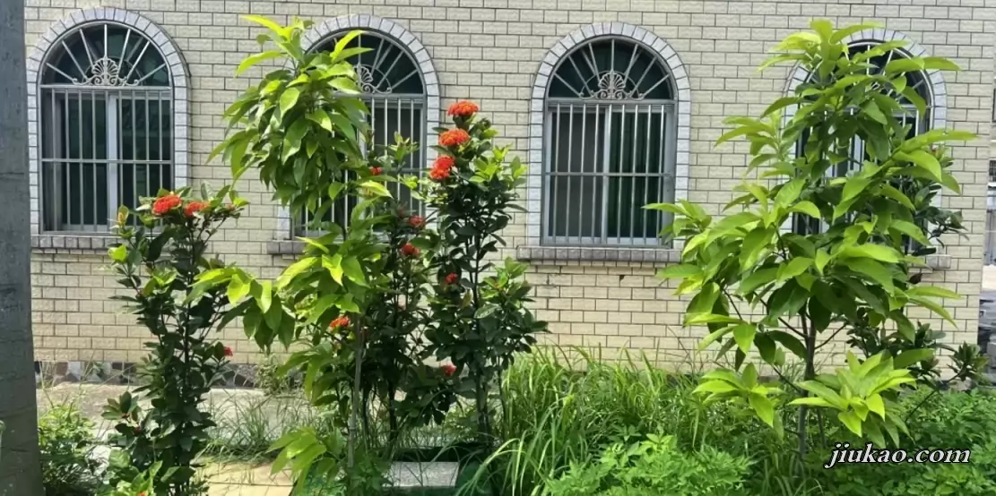 揭阳市榕城区蓝翔学校3