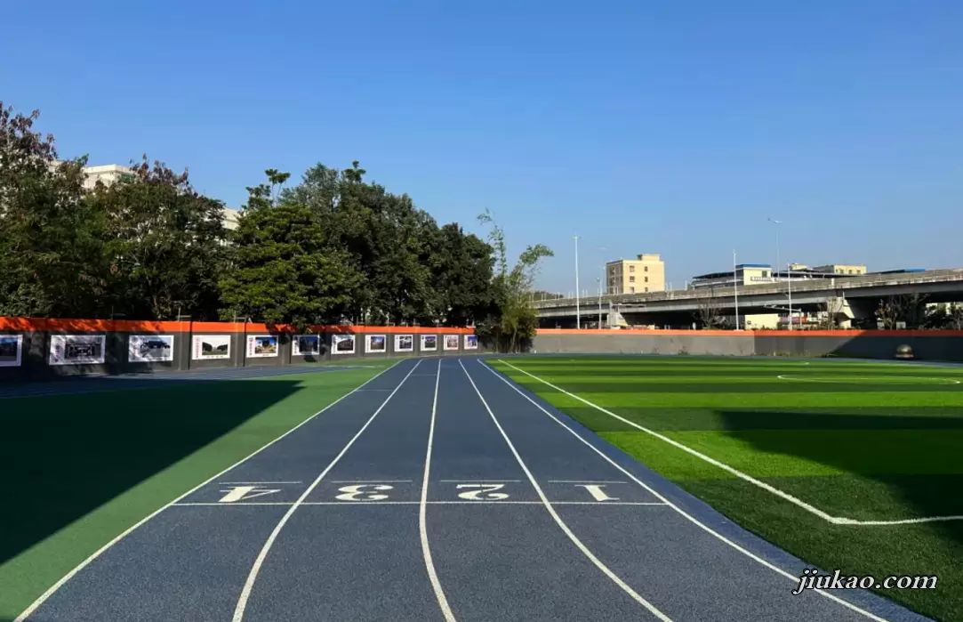 深圳市华文高级中学3