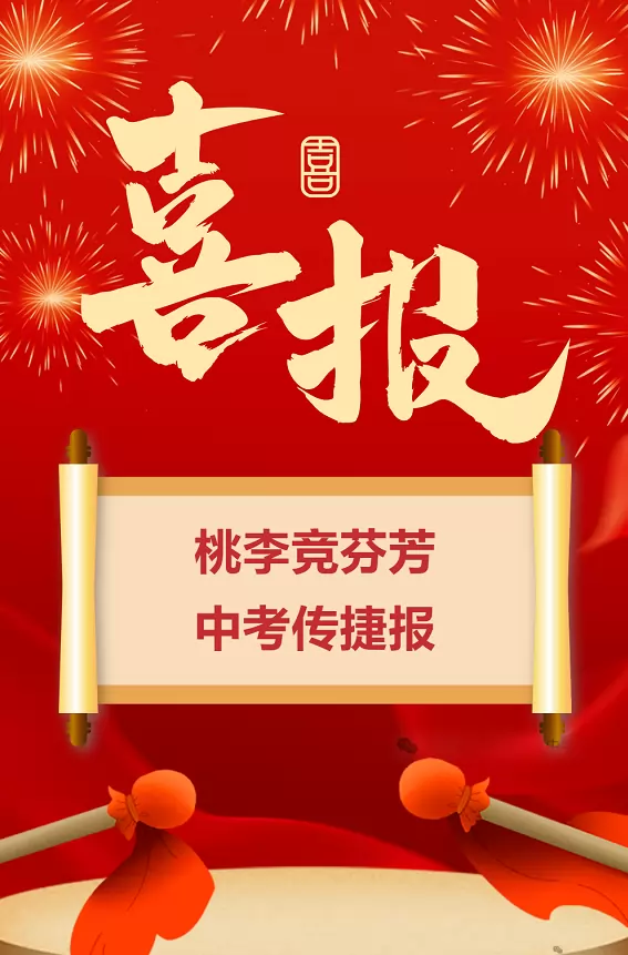 2025年揭阳市榕城区砲台镇桃山初级中学中考成绩升学率