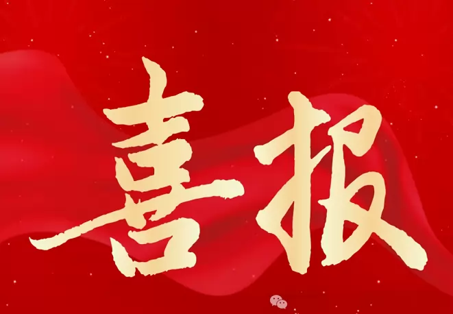 2025年上海师大嘉善附校中考成绩升学率(中考喜报)