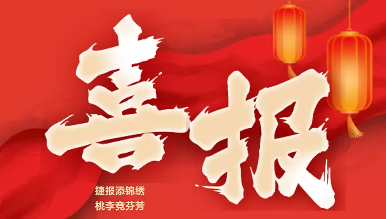 2025年铜陵市外国语学校中考成绩升学率(中考喜报)