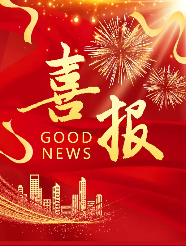 2025年大冶市聚龙高级中学高考成绩升学率(高考喜报)