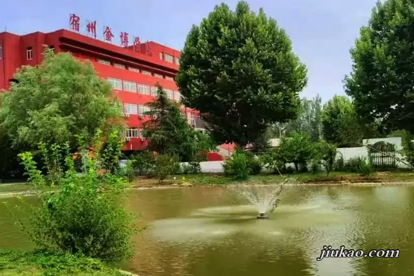 宿州市埇桥区金博学校2