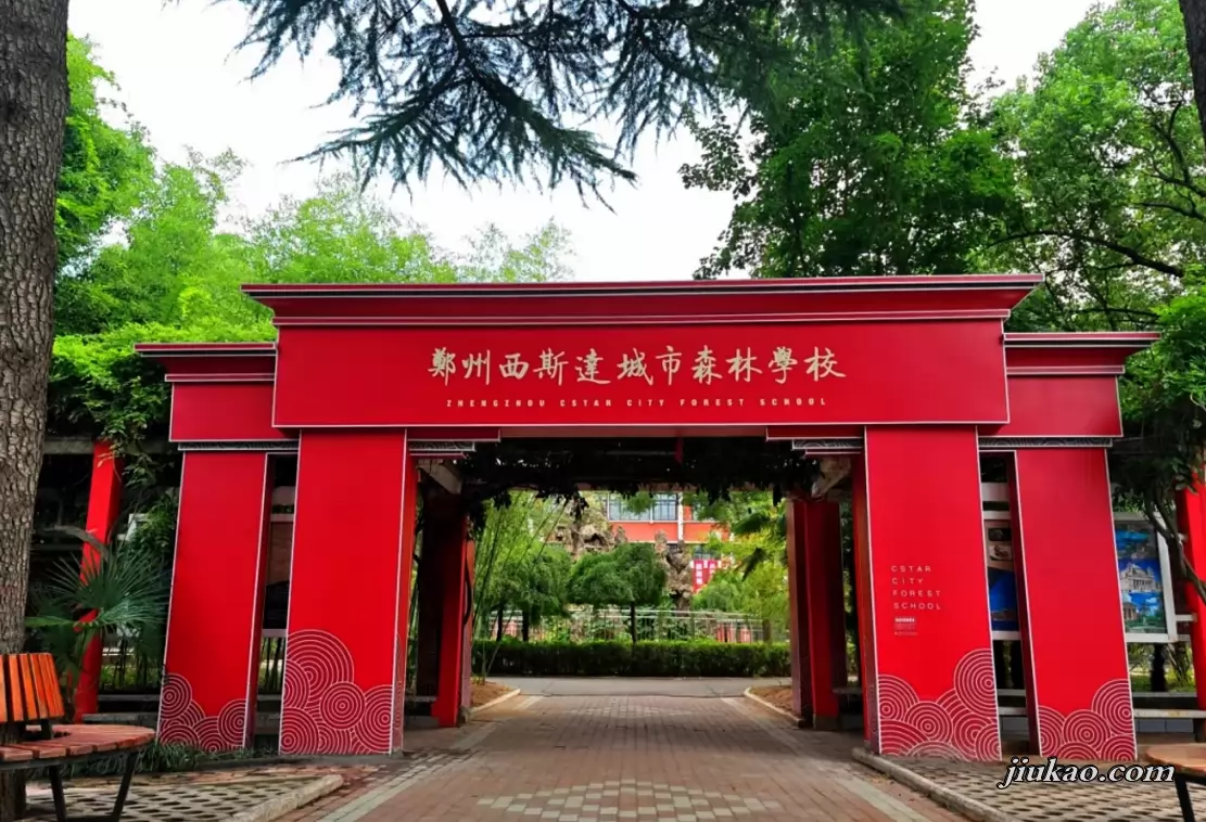 郑州西斯达城市森林学校3