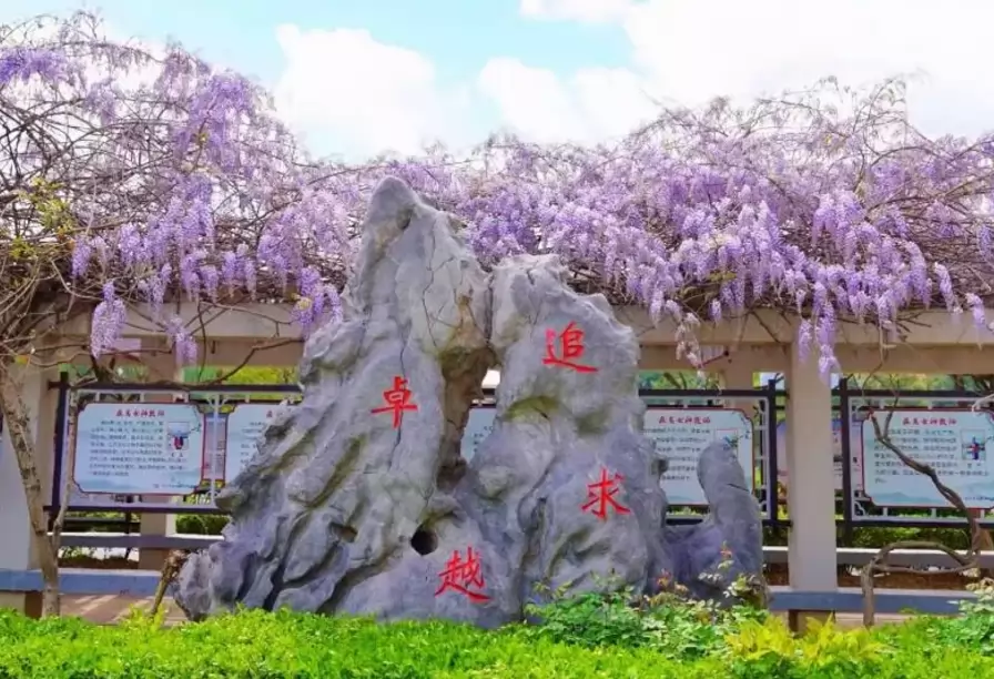 宿迁市宿豫区宿北高级中学