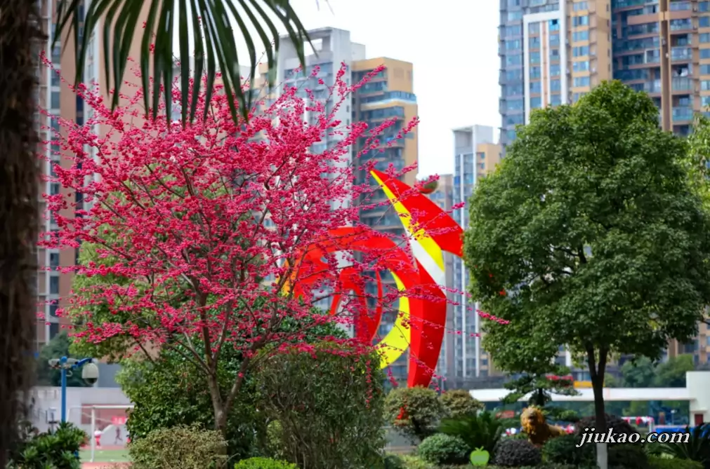 贵阳市新世界学校2