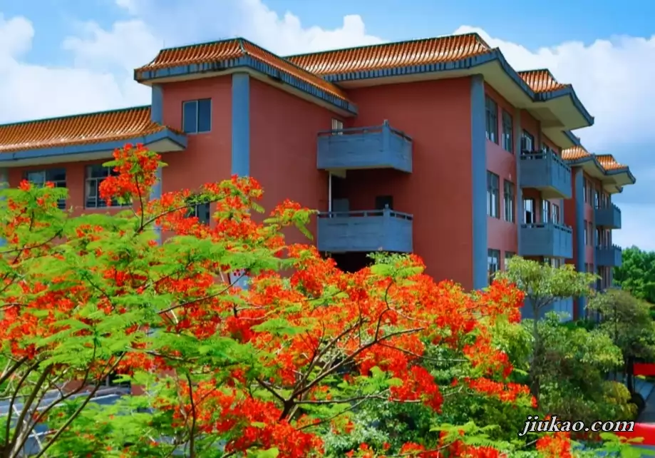 阳江市阳东正雅小学2