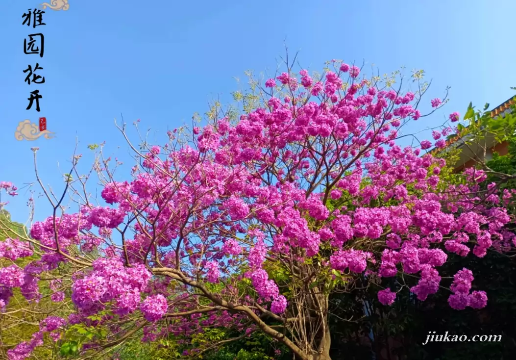 阳江市阳东正雅小学3