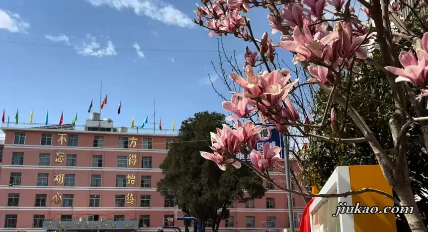昭通鑫华学校3