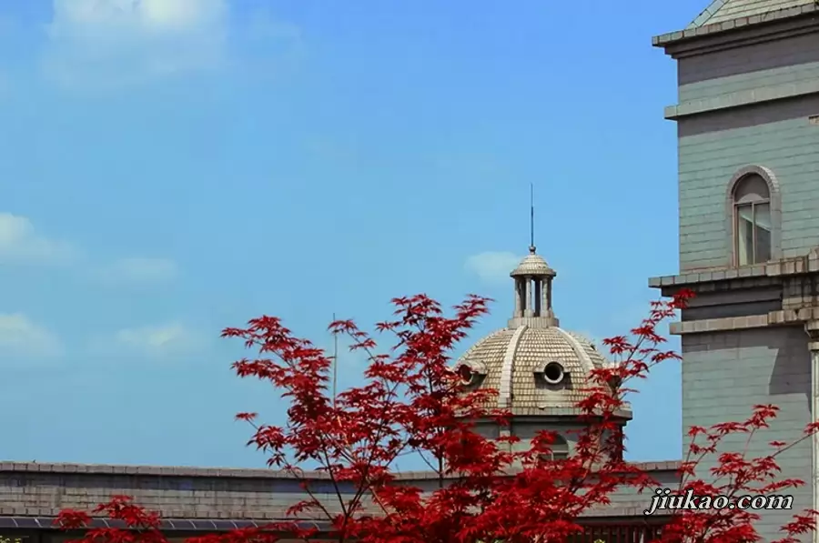 成都市金牛区协同外语学校2