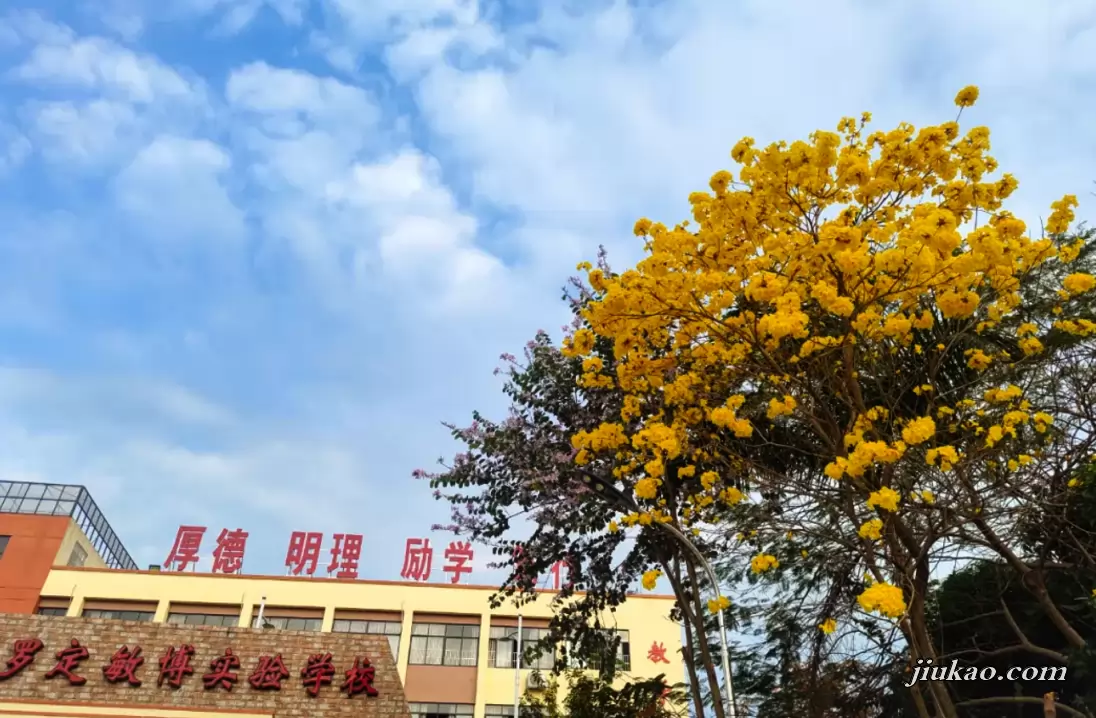 罗定敏博实验学校