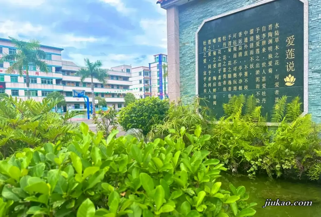 中山市板芙芙蓉学校2