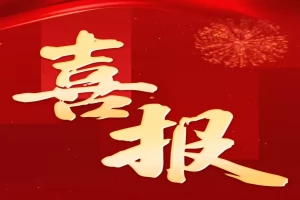 2025年珙县洛表民族中学校中考成绩升学率(中考喜报)