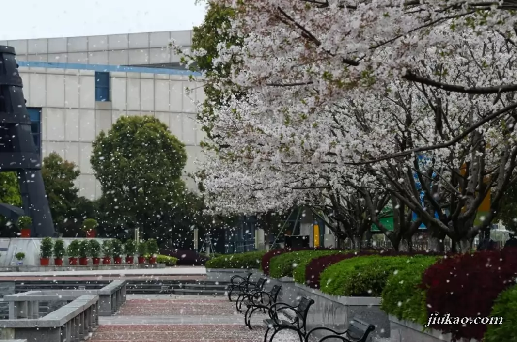 北京师范大学台州附属高级中学