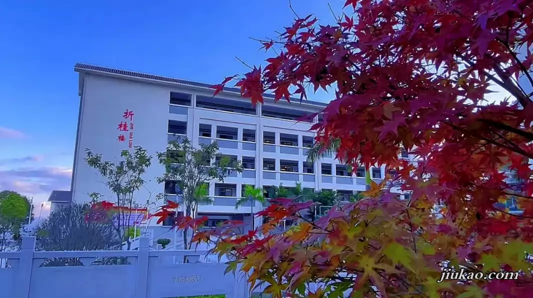 富宁上海新纪元学校4