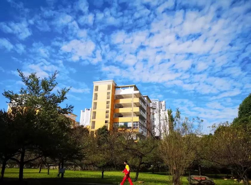 贵州大学附属中学