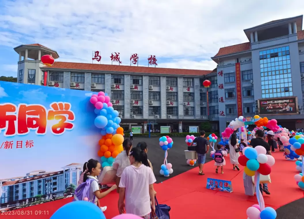 东莞市虎门马城学校