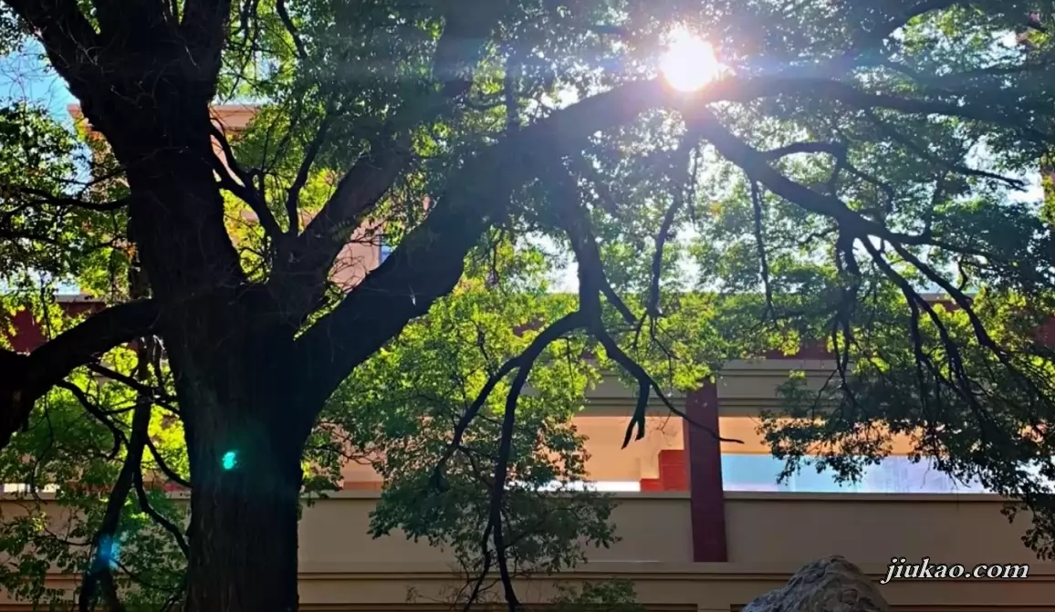 郑州普海外国语学校3