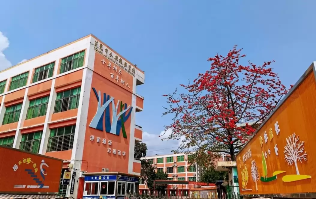 东莞市长安振安学校