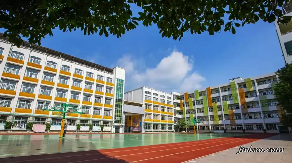 苍南县新星实验学校