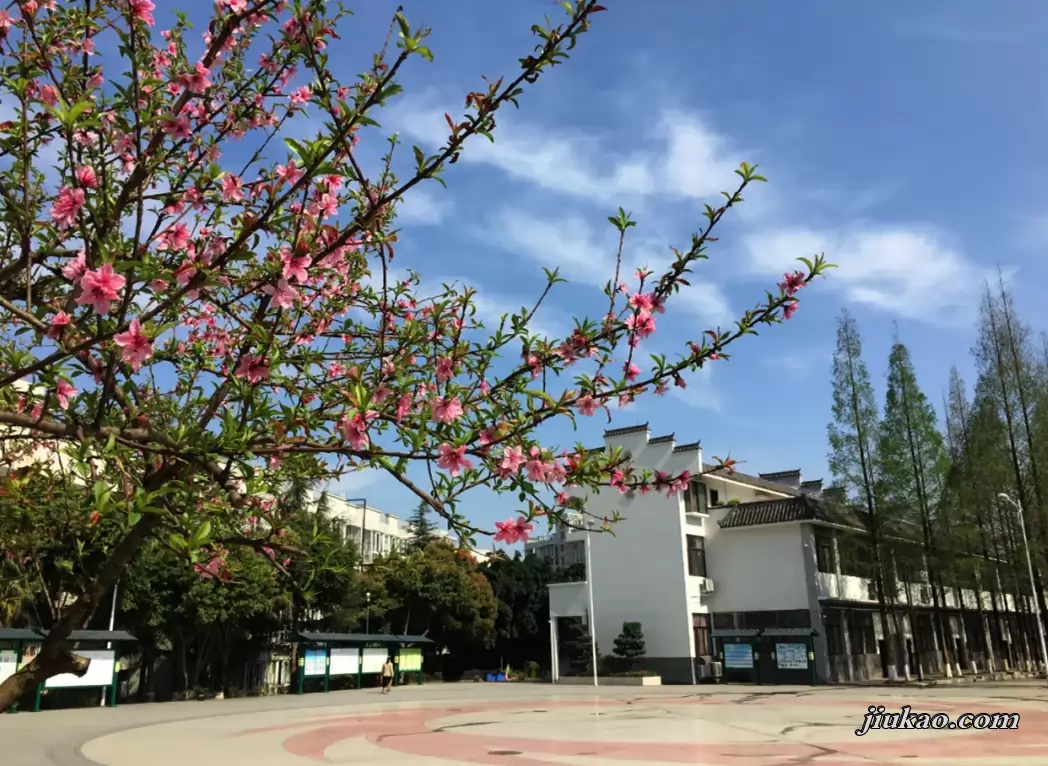 成都市龙泉驿区师一中学校校园环境图片2