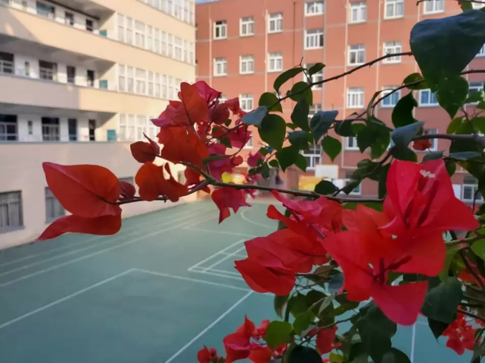 厦门市思明区东浦学校