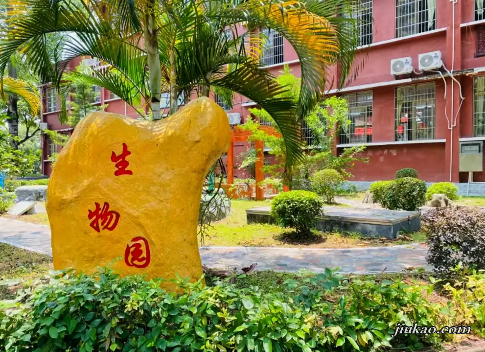 博罗县石湾镇龙峰学校校园环境图片2
