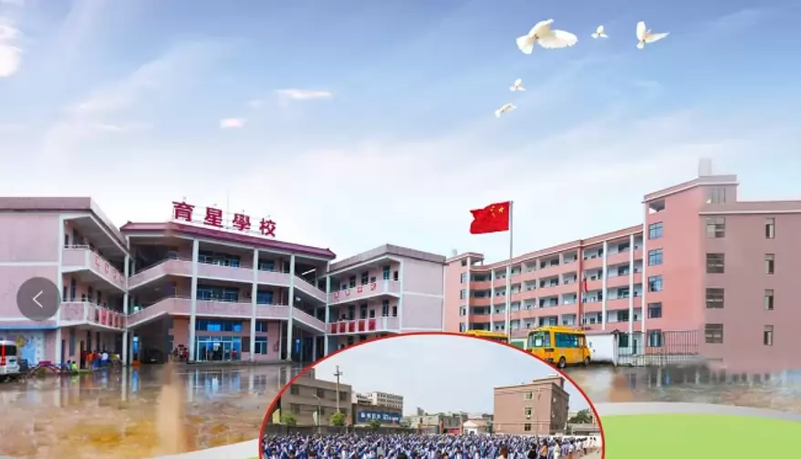 普宁市下架山镇育星小学