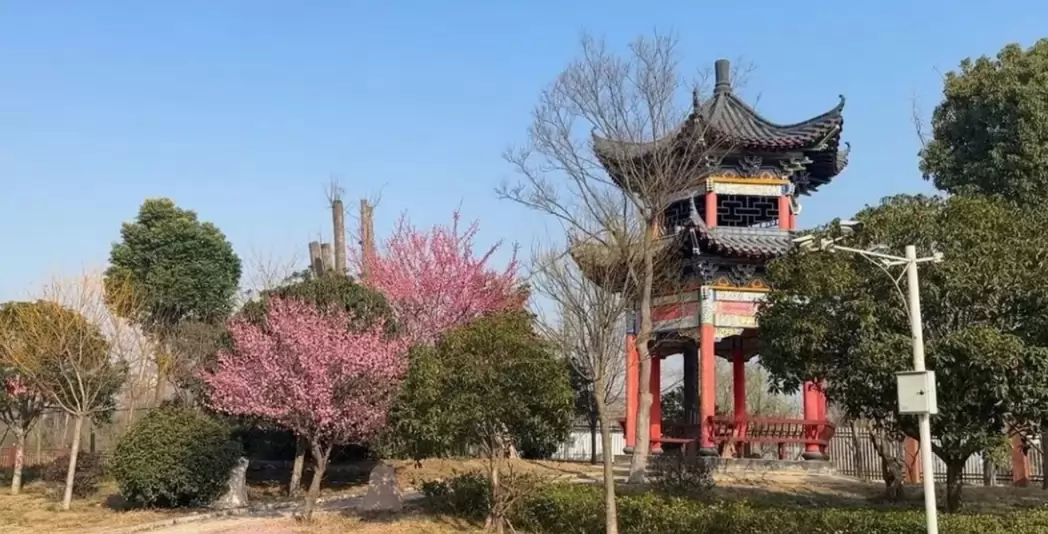 利辛县启明东方中学