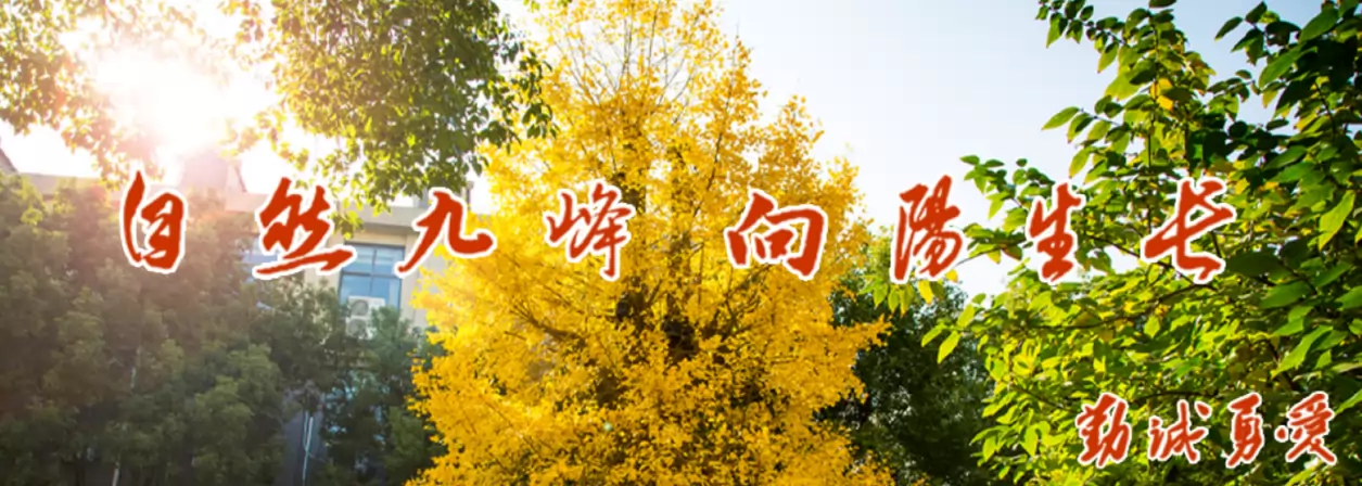 上海市松江九峰实验学校