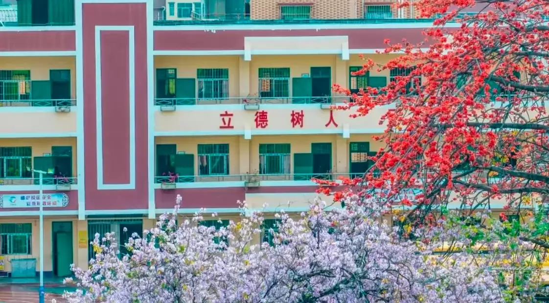 东莞市凤岗精英作新小学