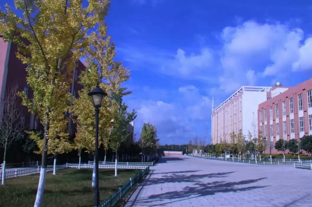 曲靖衡水实验中学