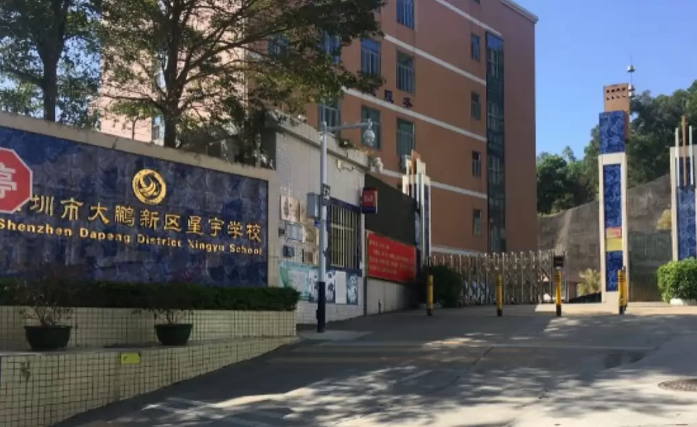 深圳市大鹏新区星宇学校2