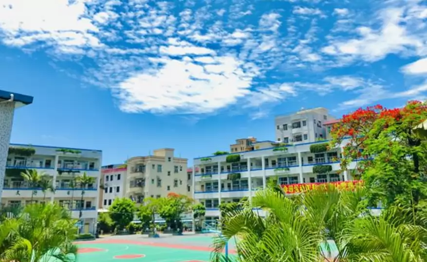 深圳市宝安区华文学校