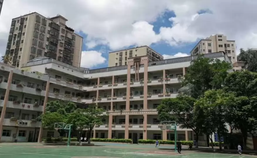 深圳市宝安区育才学校
