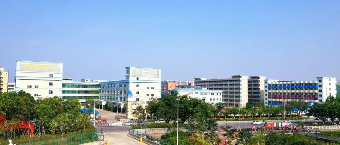 深圳市宝安区立新湖外国语学校