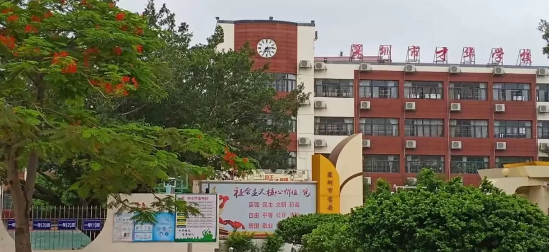 深圳市宝安区才华学校